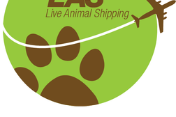Live Animal Shipping